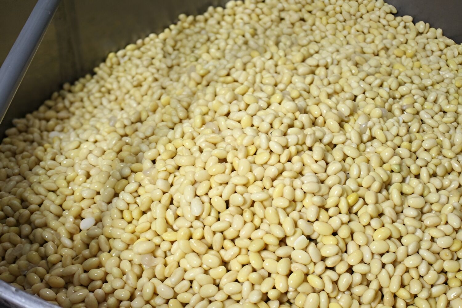 豆腐づくりは素材が命、大豆の自然な味わいを大切にしています
